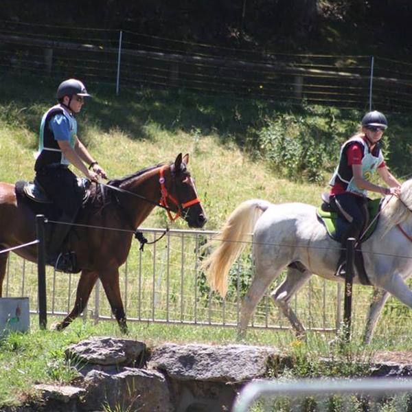 Cours d'équitation