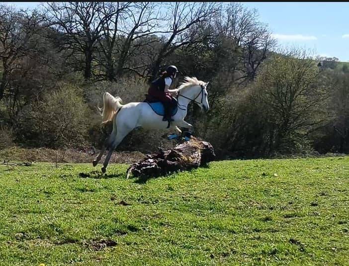 Trec