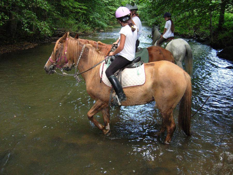 Stage d'endurance en Limousin